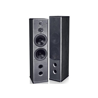 Loa karaoke đứng Nanomax S-683