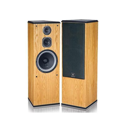 Loa karaoke đứng Nanomax RF-411