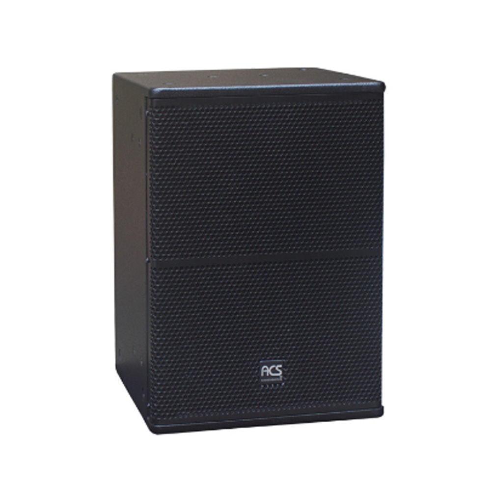 Loa Sub ACS MINI10