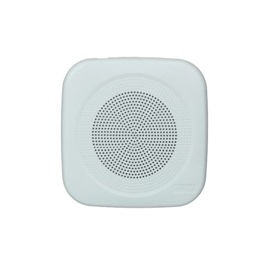 Loa Âm Trần Inter-M CS-303FQ